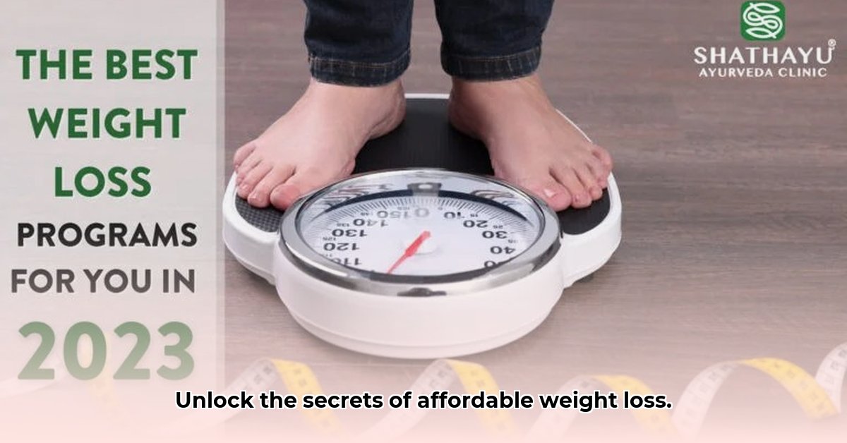 average-cost-of-weight-loss-programs